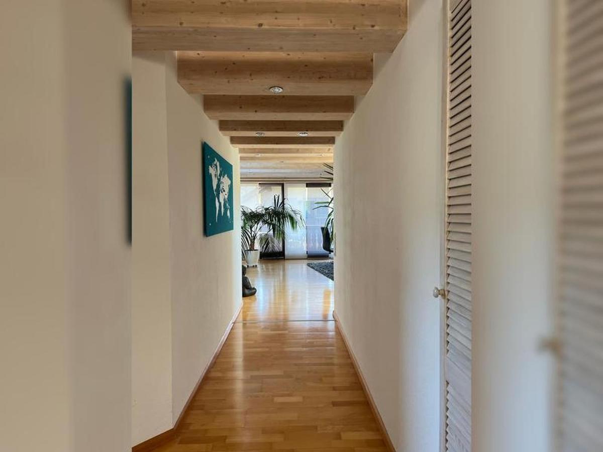 צל אם האמרשבאך Black Forest Appartement - Brandenkopfblick מראה חיצוני תמונה