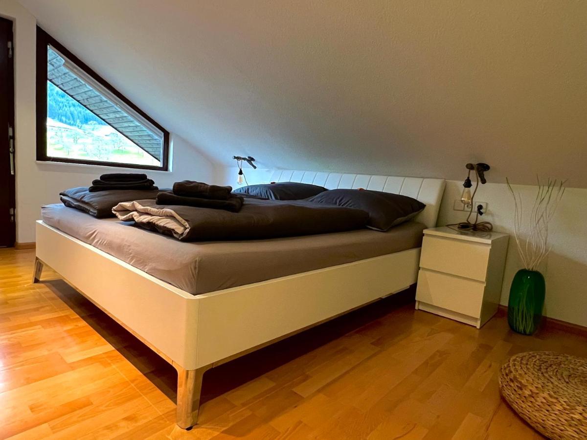 צל אם האמרשבאך Black Forest Appartement - Brandenkopfblick מראה חיצוני תמונה